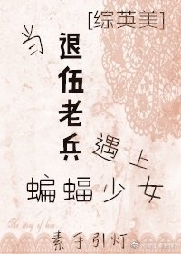 （BG/综英美同人）当退伍老兵遇上蝙蝠少女[综英美]