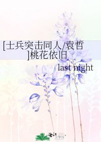 [士兵突擊同人/袁哲]桃花依舊