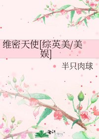 維密天使[綜英美/美娛]