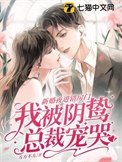 新婚夜進錯房門，我被陰鷙總裁寵哭